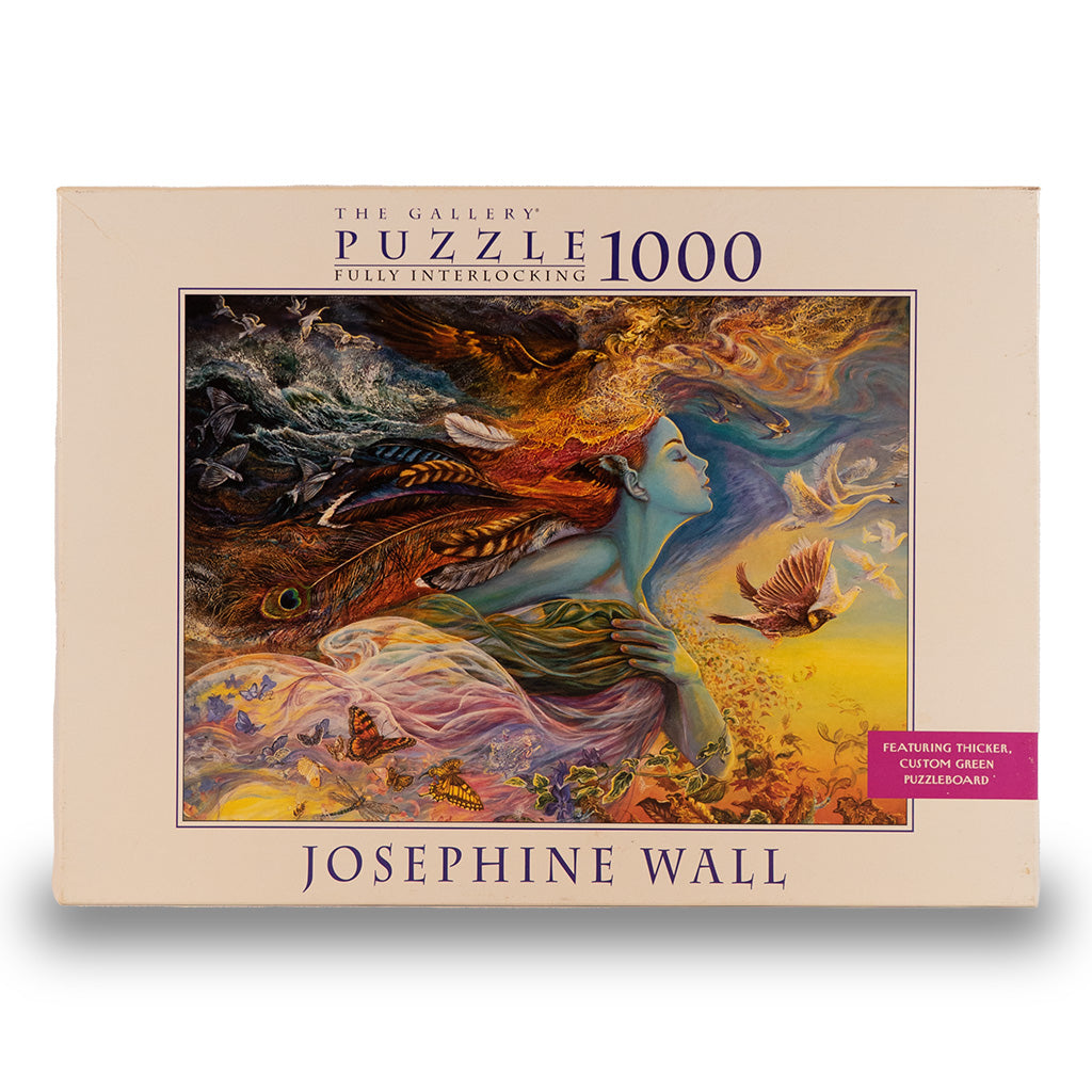 the spirit of flight josephine wall mb puzzle box